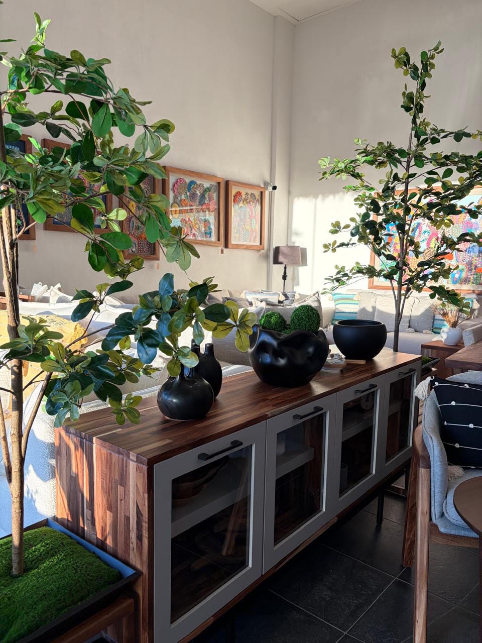 Showroom Mezquite en Master Plaza Cardones, Los Cabos: consola de parota, plantas y galería de arte mexicano